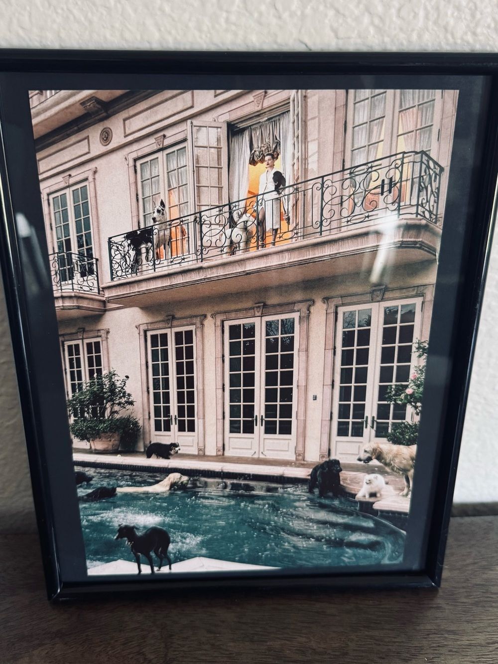 Framed French Dogs Pool Party Art